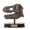 Kit de sapat Buki France Craniu T-Rex