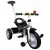 Tricicleta R-sport T5 alb {WWWWWproduct_manufacturerWWWWW}ZZZZZ]