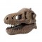 Kit de sapat Buki France Craniu T-Rex