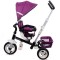 Tricicleta reversibila Sun Baby 002 Super Trike Plus burgundy